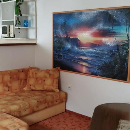 Apartman Soběslav מראה חיצוני תמונה
